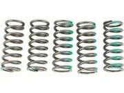 Kupplungsfedern Pro Circuit KXF 450 jusuquà 2020