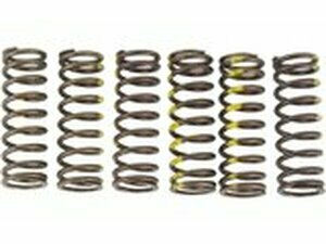 Kupplungsfedern Pro Circuit RMZ 450