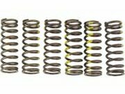 Kupplungsfedern Pro Circuit RMZ 450