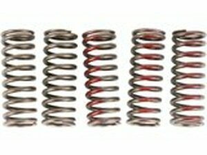 Kupplungsfedern Pro Circuit CRF 250 2010-2017