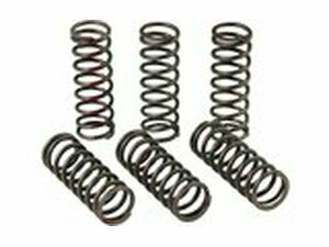 Kupplungsfedern Pro Circuit CRF 450 2013-2020