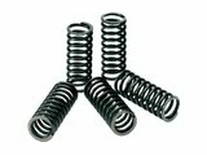 Kupplungsfedern Pro Circuit KX 80 / 85