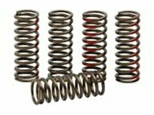 Kupplungsfedern Pro Circuit CRF 250 2018-2019