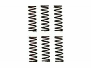 Kupplungsfedern Pro Circuit CRF 450 ab 2021