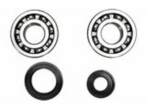Kurbelwellenlager + Wellendichtringe Prox YZ 250 1999-2000