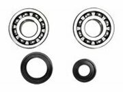 Kurbelwellenlager + Wellendichtringe Prox YZ 250 1999-2000
