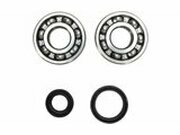 Kurbelwellenlager + Wellendichtringe Prox RM 125 1999-2008