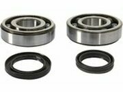 Kurbelwellenlager + Wellendichtringe Prox RM-Z 450 ab 2008