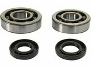 Kurbelwellenlager + Wellendichtringe Prox KX 500