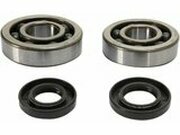 Kurbelwellenlager + Wellendichtringe Prox KX 500