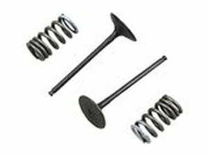 Einlassventil Set Prox mit Federn RM-Z 250 ab 2010