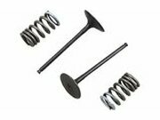 Einlassventil Set Prox mit Federn RM-Z 250 ab 2010