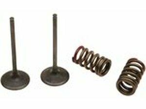 Einlassventil Set Prox mit Federn KXF / RM-Z 250 2004-2006