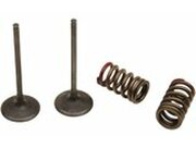 Einlassventil Set Prox mit Federn KXF / RM-Z 250 2004-2006