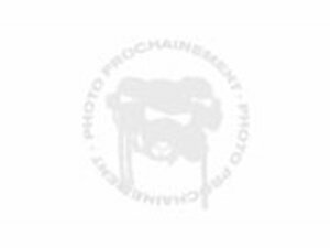 Kupplungshebel mit Halterung RFX Race universell 4-Takt...