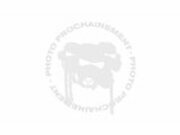 Kupplungshebel mit Halterung RFX Race universell 4-Takt...