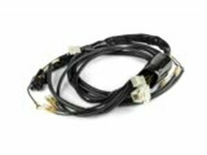 Kabelbaum Rieju RR / Spike 2006