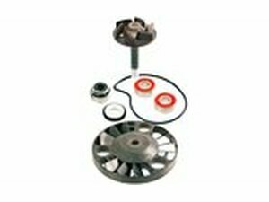 Reparaturkit Wasserpumpe Piaggio Leader 125-200cc 4T LC