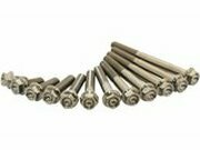 Titan-Schrauben Scar M6X10 (x2)