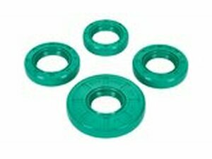 Wellendichtringe Motor Schmitt Evolution FKM mit...