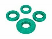 Wellendichtringe Motor Schmitt Evolution FKM mit...