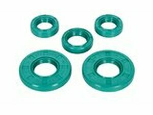 Wellendichtringe Schmitt Evolution FKM mit Drallrichtung...