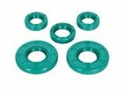 Wellendichtringe Schmitt Evolution FKM mit Drallrichtung...