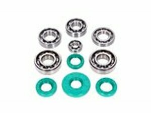 Kugellager Satz Metallkfig C3 mit FKM Wellendichtringen...