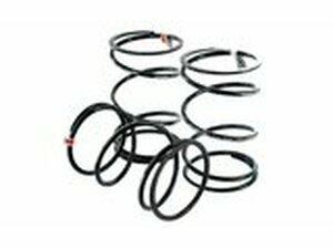 Gegendruckfedern Kit in 3 Strken Piaggio / GY6