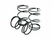 Gegendruckfedern Kit in 3 Strken Minarelli / China 2-Takt