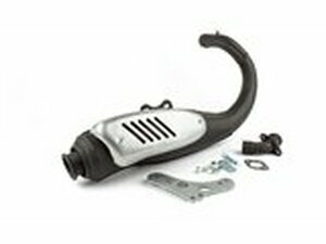 Auspuff Stage6 Street Peugeot stehend