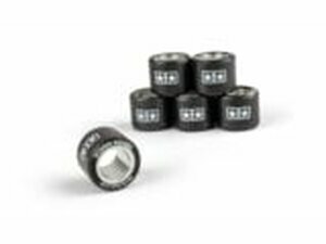 Variomatikgewichte (x6) Stage6 19x15.5mm - 7g