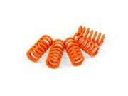 Kupplungsfedern Stage6 R/T Derbi