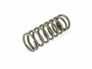 Feder 115 LB / 170mm Stage6 R/T fr Stodmpfer Piaggio