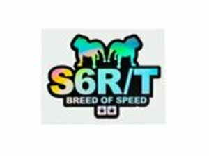 Hologramm Aufkleber Stage6 R/T 115x85mm