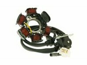 Lichtmaschine Stator fr PGO Big Max, G-Max, Hot, PMX, T-Rex