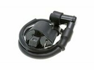 Zndspule mit Kerzenstecker fr Generic Trigger