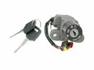 Schlosssatz OEM fr Generic Trigger