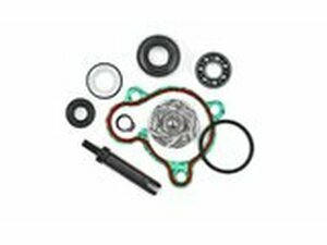 Reparaturkit Wasserpumpe Originalersatz Yamaha Majesty 250cc