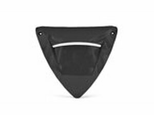 Einsatz Frontverkleidung unlackiert Peugeot Speedfight 2