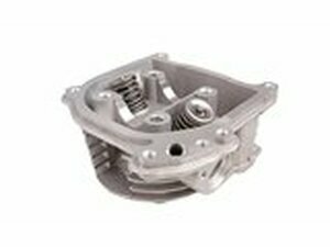 Zylinderkopf mit SLS fr GY6 139QMB