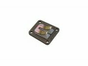 Membranblock 2 Plttchen Tomos