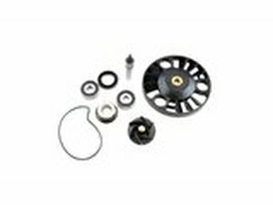 Reparatursatz Wasserpumpe Piaggio MP3 / X8 / X9 / GTS 125cc / 200cc Euro 3 2006 - 08