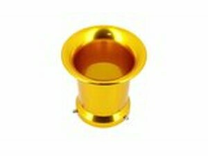 Ansaugtrichter PWK H.76mm gold