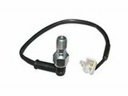 Bremslichtschalter hinten M10x1.00 Rieju MRT 50cc