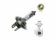 Scheinwerferlampe Halogen Flosser 12V - 35/35W - PX43T - HS1