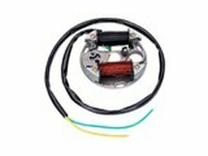 Stator Zndung 12V 35W Puch Maxi E50 / Sachs / Hercules / Zndapp