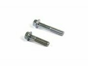 Bolzen Stodmpfer (x2) M10 x 40mm - M10 x 55mm Pit Bike...