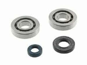 Kurbelwellenlager und Wellendichtringe PGO Big Max