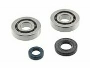 Kurbelwellenlager und Wellendichtringe PGO Big Max